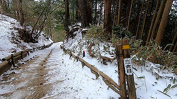 gx011564.mp4_snapshot_00.03_thumb.jpg