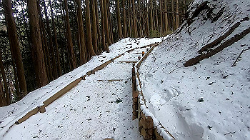gx011564.mp4_snapshot_00.13_thumb.jpg