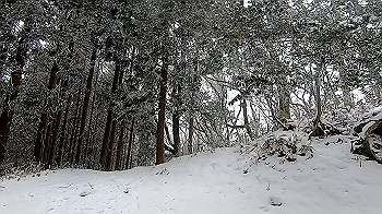 gx011565.mp4_snapshot_00.04_thumb.jpg