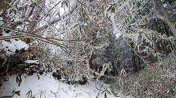 gx011565.mp4_snapshot_00.26_thumb.jpg