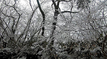 gx011565.mp4_snapshot_00.43_thumb.jpg