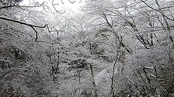 gx011566.mp4_snapshot_00.15_thumb.jpg