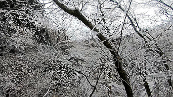 gx011566.mp4_snapshot_00.26_thumb.jpg
