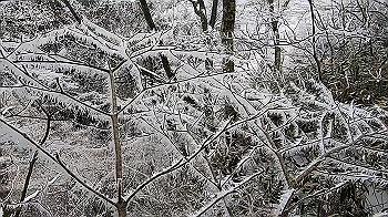 gx011566.mp4_snapshot_00.42_thumb.jpg