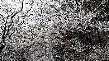 gx011566.mp4_snapshot_01.10_thumb.jpg
