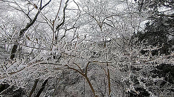 gx011566.mp4_snapshot_01.14_thumb.jpg