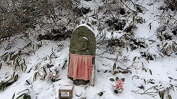 gx011566.mp4_snapshot_01.44_thumb.jpg