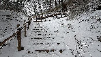 gx011566.mp4_snapshot_02.05_thumb.jpg