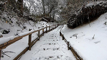 gx011567.mp4_snapshot_00.04_thumb.jpg
