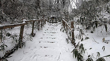 gx011568.mp4_snapshot_00.02_thumb.jpg