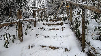 gx011568.mp4_snapshot_00.24_thumb.jpg
