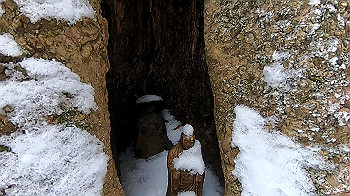 gx011568.mp4_snapshot_01.03_thumb.jpg