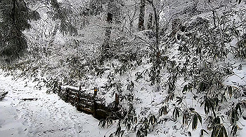 gx011569.mp4_snapshot_00.40_thumb.jpg