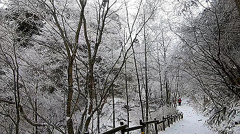 gx011570.mp4_snapshot_00.25_thumb.jpg