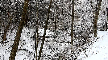 gx011570.mp4_snapshot_00.52_thumb.jpg