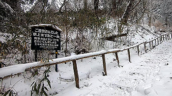 gx011571.mp4_snapshot_00.20_thumb.jpg