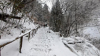 gx011571.mp4_snapshot_00.24_thumb.jpg