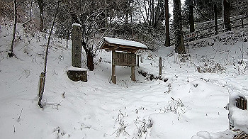 gx011572.mp4_snapshot_00.06_thumb.jpg