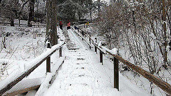 gx011572.mp4_snapshot_00.11_thumb.jpg
