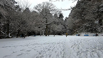 gx011572.mp4_snapshot_01.02_thumb.jpg