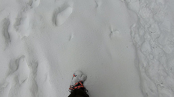 gx011572.mp4_snapshot_01.18_thumb.jpg