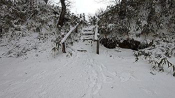 gx011572.mp4_snapshot_01.30_thumb.jpg