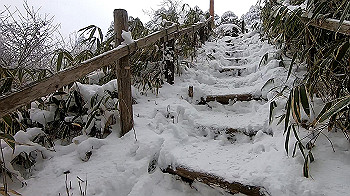 gx011572.mp4_snapshot_01.44_thumb.jpg