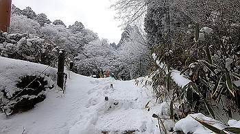 gx011572.mp4_snapshot_01.57_thumb.jpg