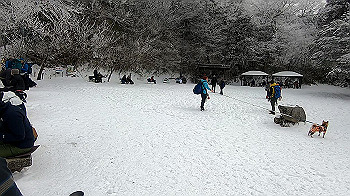 gx011573.mp4_snapshot_00.00_thumb.jpg