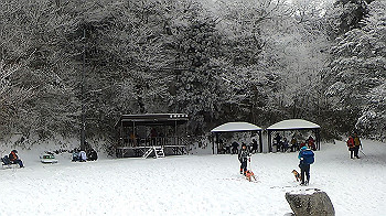 gx011574.mp4_snapshot_00.00_thumb.jpg