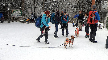 gx011574.mp4_snapshot_00.31_thumb.jpg