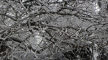 gx011574.mp4_snapshot_00.42_thumb.jpg