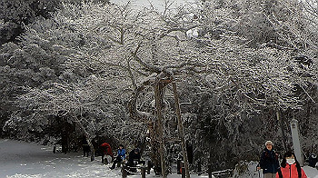 gx011575.mp4_snapshot_00.14_thumb.jpg