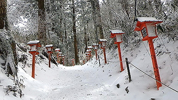 gx011578.mp4_snapshot_00.03_thumb.jpg