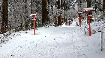 gx011578.mp4_snapshot_00.39_thumb.jpg