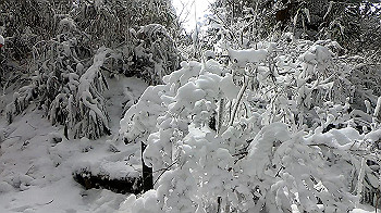 gx011578.mp4_snapshot_01.06_thumb.jpg