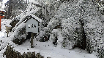 gx011579.mp4_snapshot_00.12_thumb.jpg