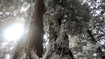gx011579.mp4_snapshot_00.17_thumb.jpg