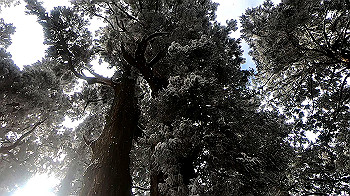 gx011579.mp4_snapshot_00.19_thumb.jpg