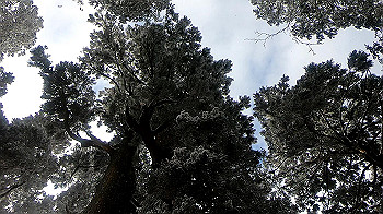 gx011579.mp4_snapshot_00.22_thumb.jpg