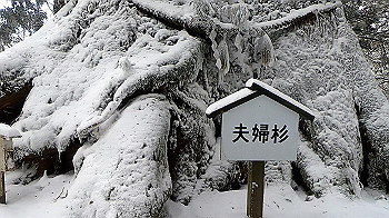 gx011579.mp4_snapshot_00.38_thumb.jpg