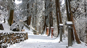 gx011580.mp4_snapshot_00.01_thumb.jpg