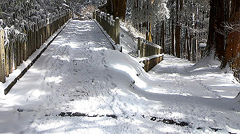 gx011580.mp4_snapshot_00.26_thumb.jpg