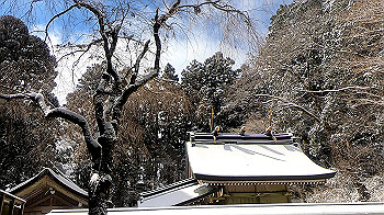gx011580.mp4_snapshot_02.46_thumb.jpg