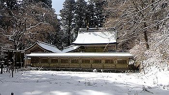 gx011581.mp4_snapshot_00.01_thumb.jpg