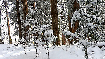 gx011581.mp4_snapshot_00.30_thumb.jpg