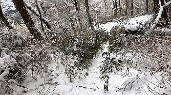 gx011581.mp4_snapshot_00.51_thumb.jpg