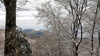 gx011581.mp4_snapshot_01.44_thumb.jpg