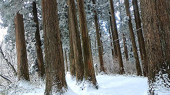 gx011581.mp4_snapshot_02.26_thumb.jpg