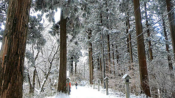 gx011581.mp4_snapshot_02.37_thumb.jpg